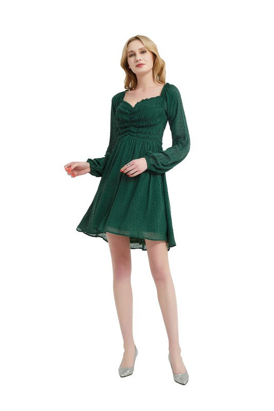 Front Smocking Long Sleeve Mini Dress