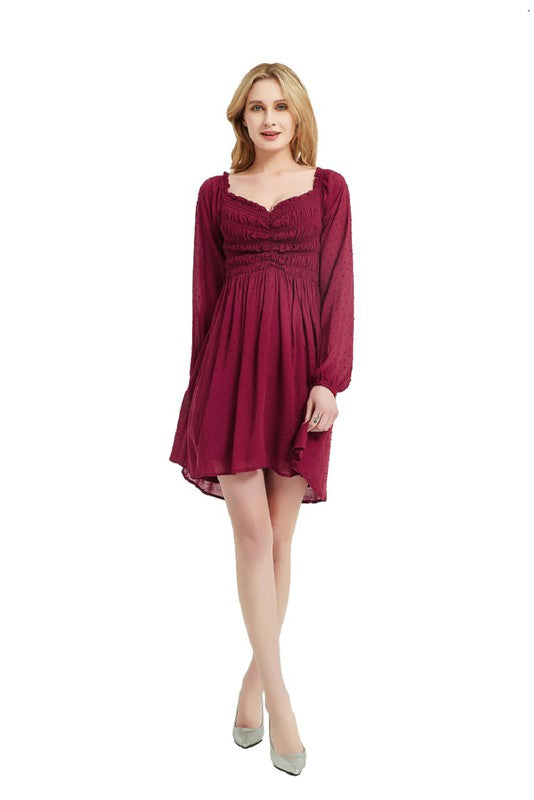 Front Smocking Long Sleeve Mini Dress