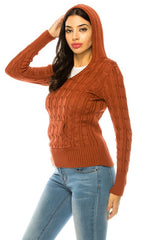 Solid V-Neck Knit Hoodie Sweater