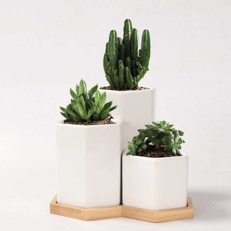 Geo Tall Trio Ceramic Planter Set king-general-store-5710.myshopify.com