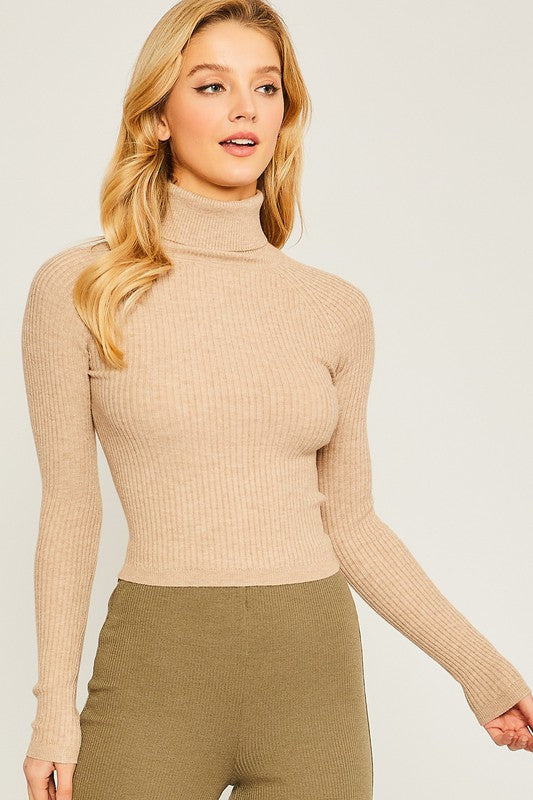 Turtleneck Ribbed Knit Sweater Top king-general-store-5710.myshopify.com