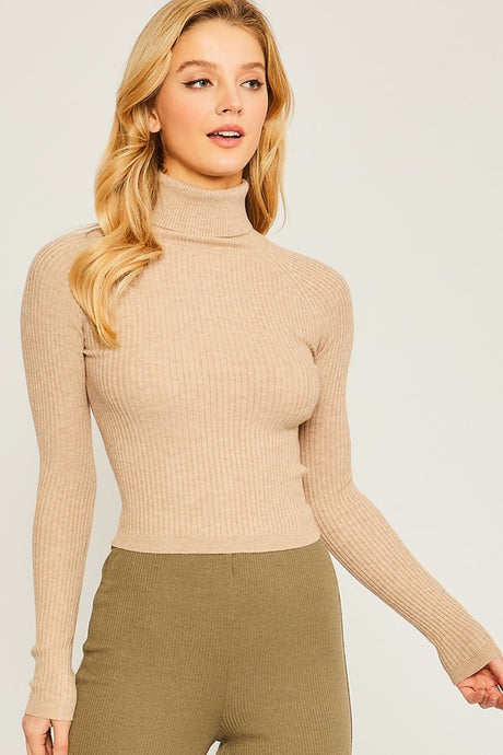 Turtleneck Ribbed Knit Sweater Top king-general-store-5710.myshopify.com