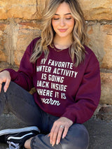 My Favorite Winter Activity Sweatshirt king-general-store-5710.myshopify.com