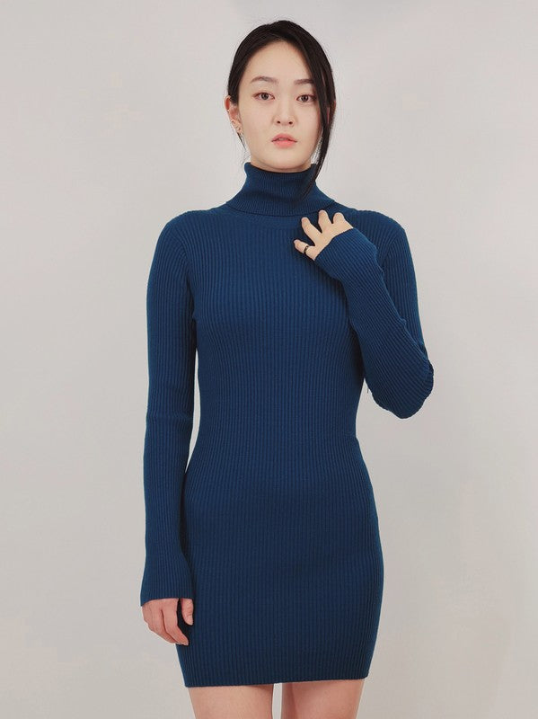 Ribbed Turtleneck Long Sleeve Slim Fit Mini Dress king-general-store-5710.myshopify.com