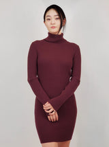 Ribbed Turtleneck Long Sleeve Slim Fit Mini Dress king-general-store-5710.myshopify.com