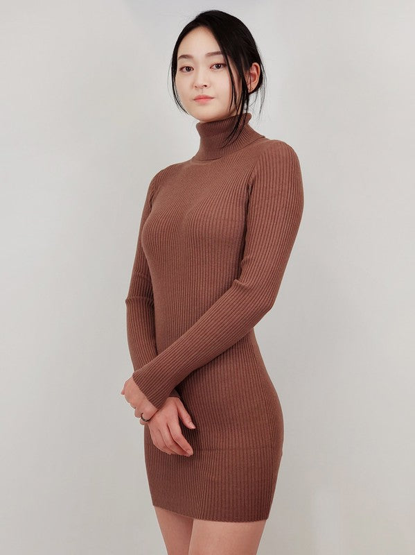 Ribbed Turtleneck Long Sleeve Slim Fit Mini Dress king-general-store-5710.myshopify.com