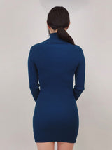 Ribbed Turtleneck Long Sleeve Slim Fit Mini Dress king-general-store-5710.myshopify.com