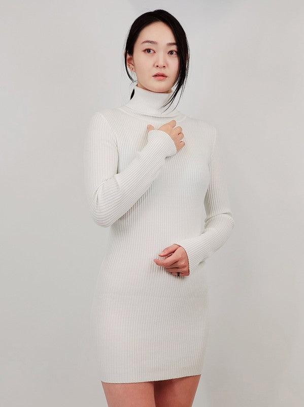 Ribbed Turtleneck Long Sleeve Slim Fit Mini Dress king-general-store-5710.myshopify.com