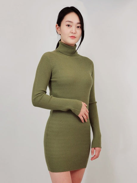 Ribbed Turtleneck Long Sleeve Slim Fit Mini Dress king-general-store-5710.myshopify.com