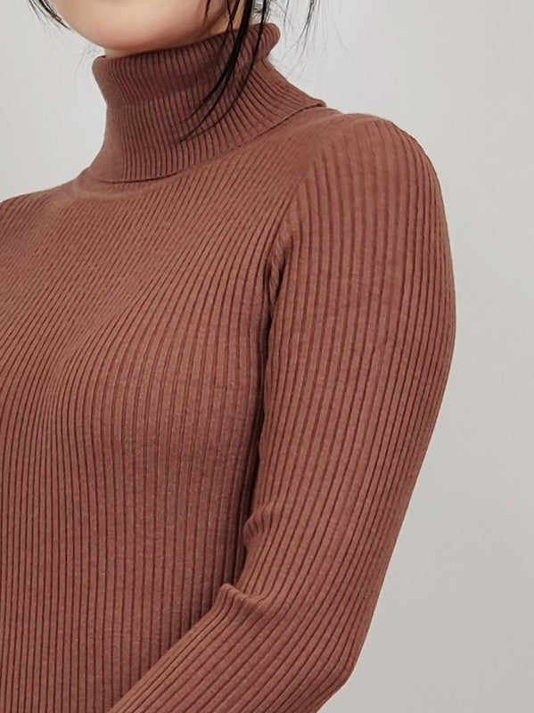 Ribbed Turtleneck Long Sleeve Slim Fit Mini Dress king-general-store-5710.myshopify.com