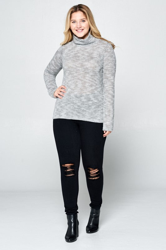 Plus Long Sleeve Knit Turtleneck Top