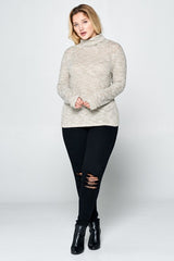 Plus Long Sleeve Knit Turtleneck Top