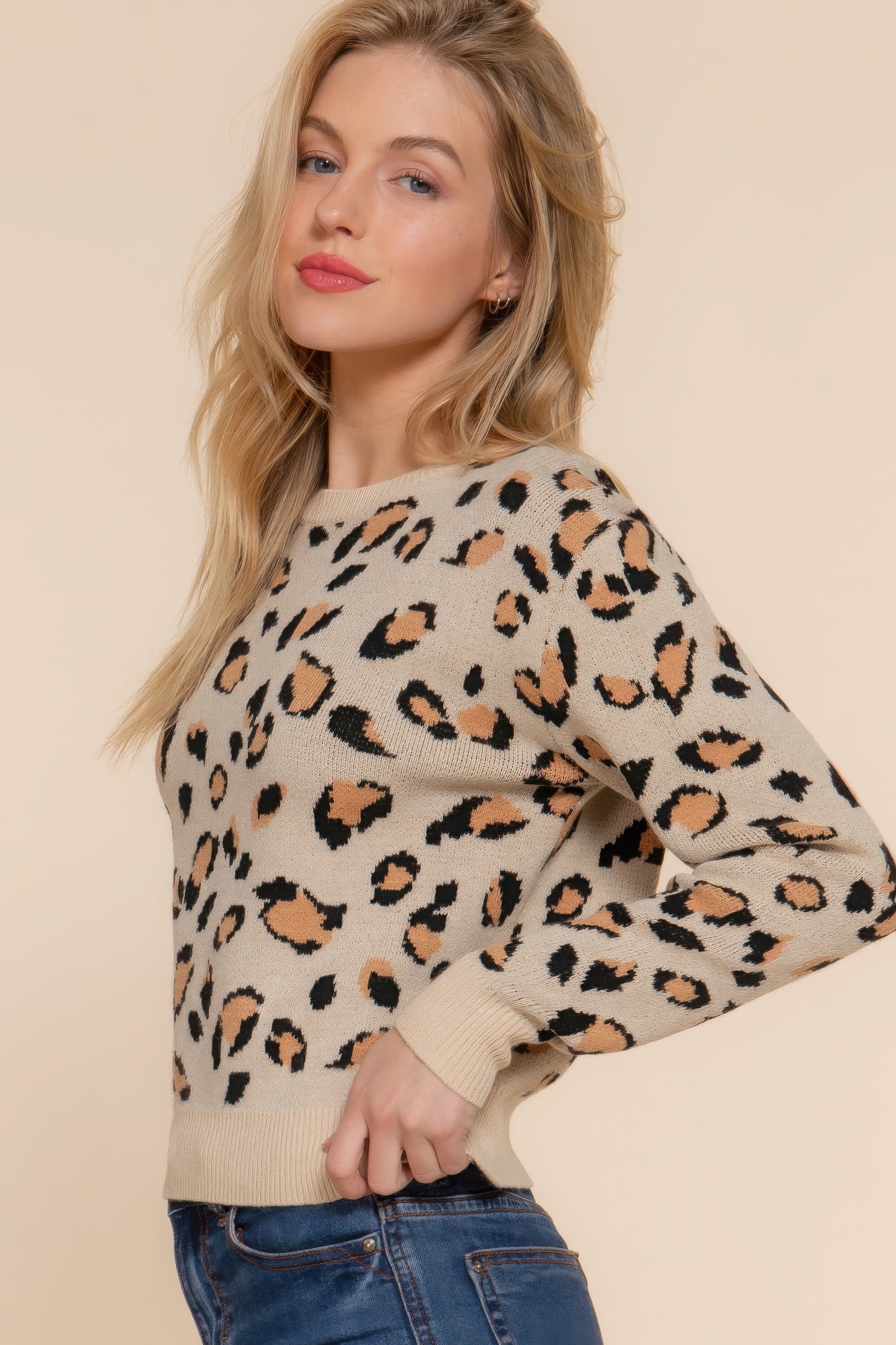 Beige Long Sleeve Animal Jacquard Sweater