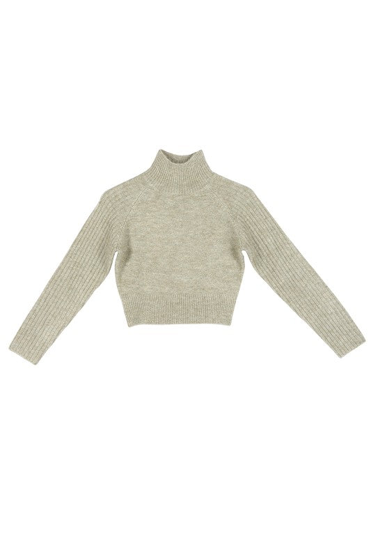 Crop Mock Neck Sweater king-general-store-5710.myshopify.com