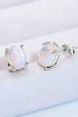 Natural Moonstone 4-Prong Stud Earrings king-general-store-5710.myshopify.com