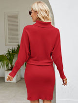 Turtle Neck Long Sleeve Ribbed Sweater Dress king-general-store-5710.myshopify.com