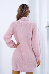 Buttoned Turtleneck Long Sleeve Sweater Dress king-general-store-5710.myshopify.com