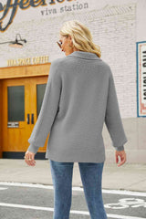 Double Take Horizontal Ribbing Johnny Collar Sweater king-general-store-5710.myshopify.com