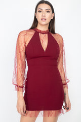 Burgundy Pearl Trim Mesh Bodycon Dress