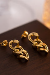Stainless Steel Chain Earrings king-general-store-5710.myshopify.com