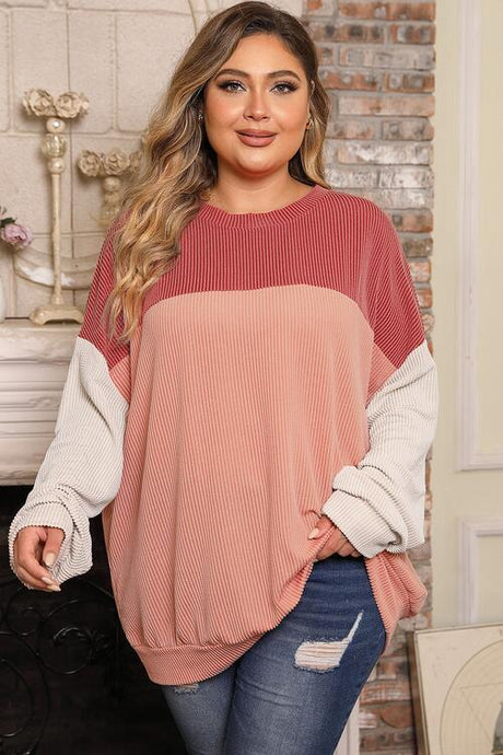 Plus Size Color Block Long Sleeve Top king-general-store-5710.myshopify.com